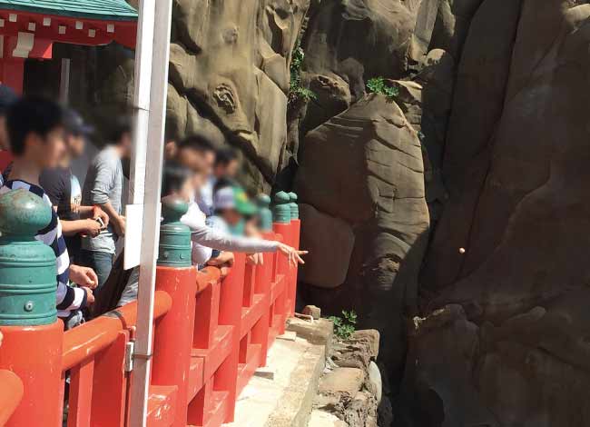 2016年 大分・宮崎研修旅行 2泊3日(鵜戸神宮にて)